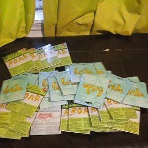 Inflatiable Balloons Decor